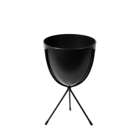 Lotus Gourmet Porcelain Collection