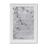 The Winter Plum