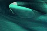 Green Waves