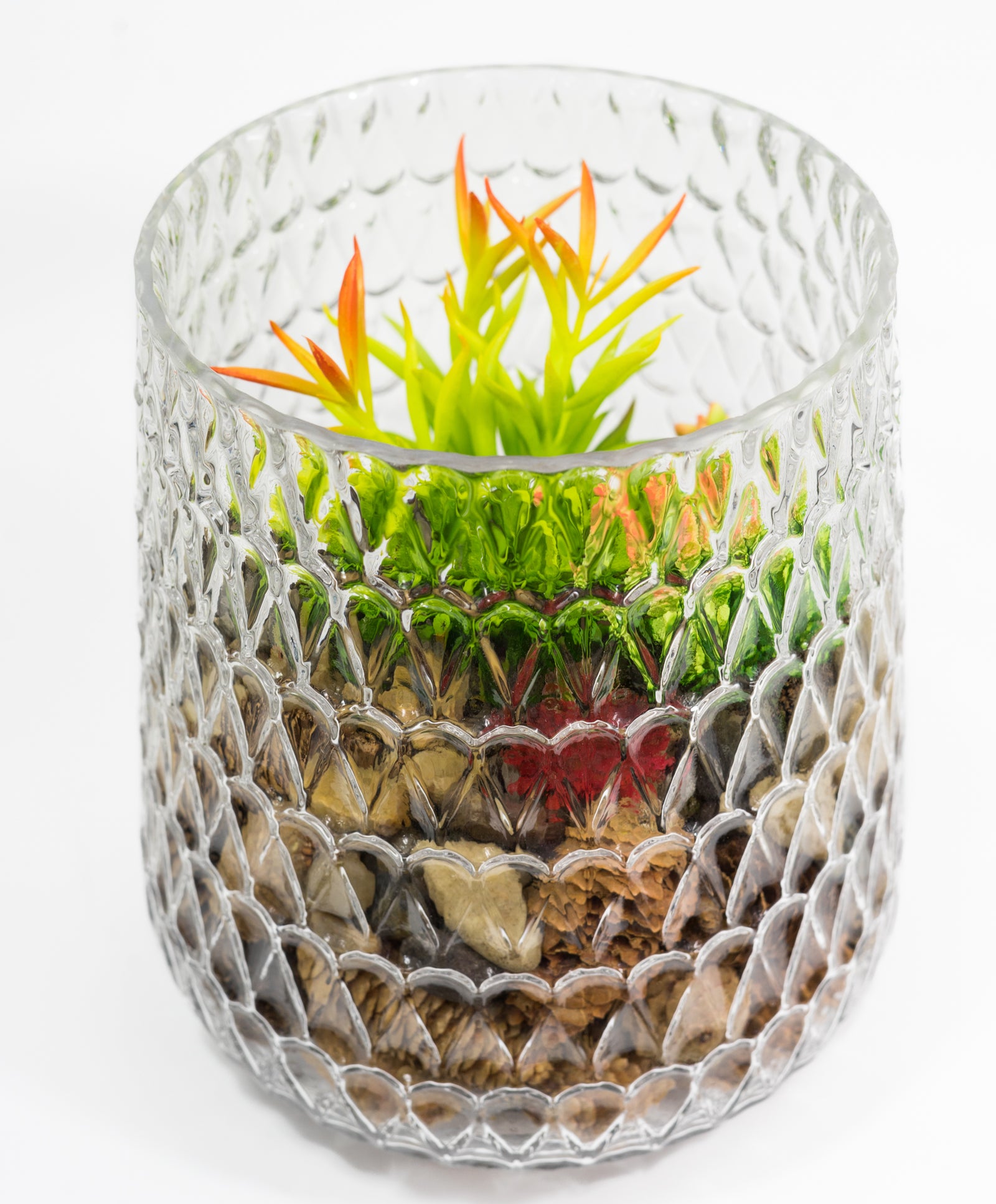 dazzling Crystal Glass Vase with multiple uses such as terrarium