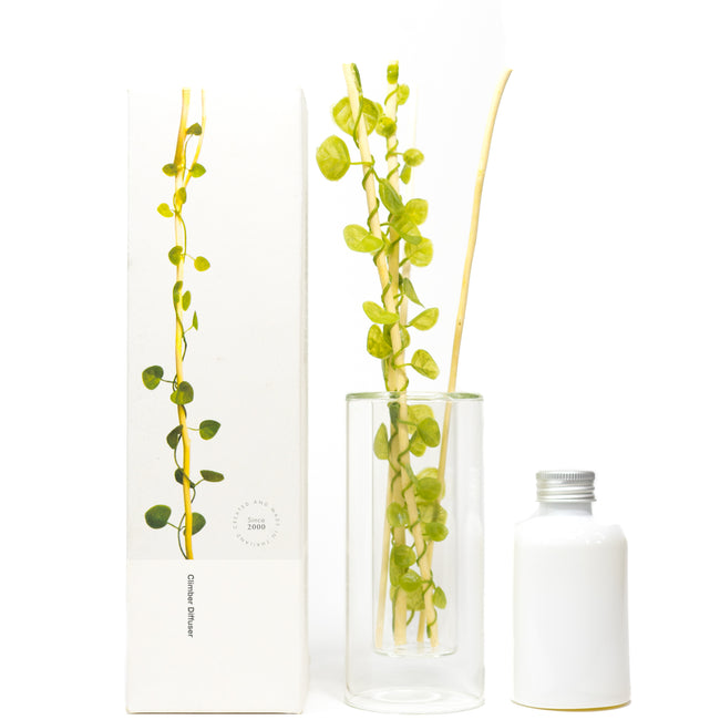 Well designed Aroma Diffuser Set has refreshing aromatic scent with reed leaves