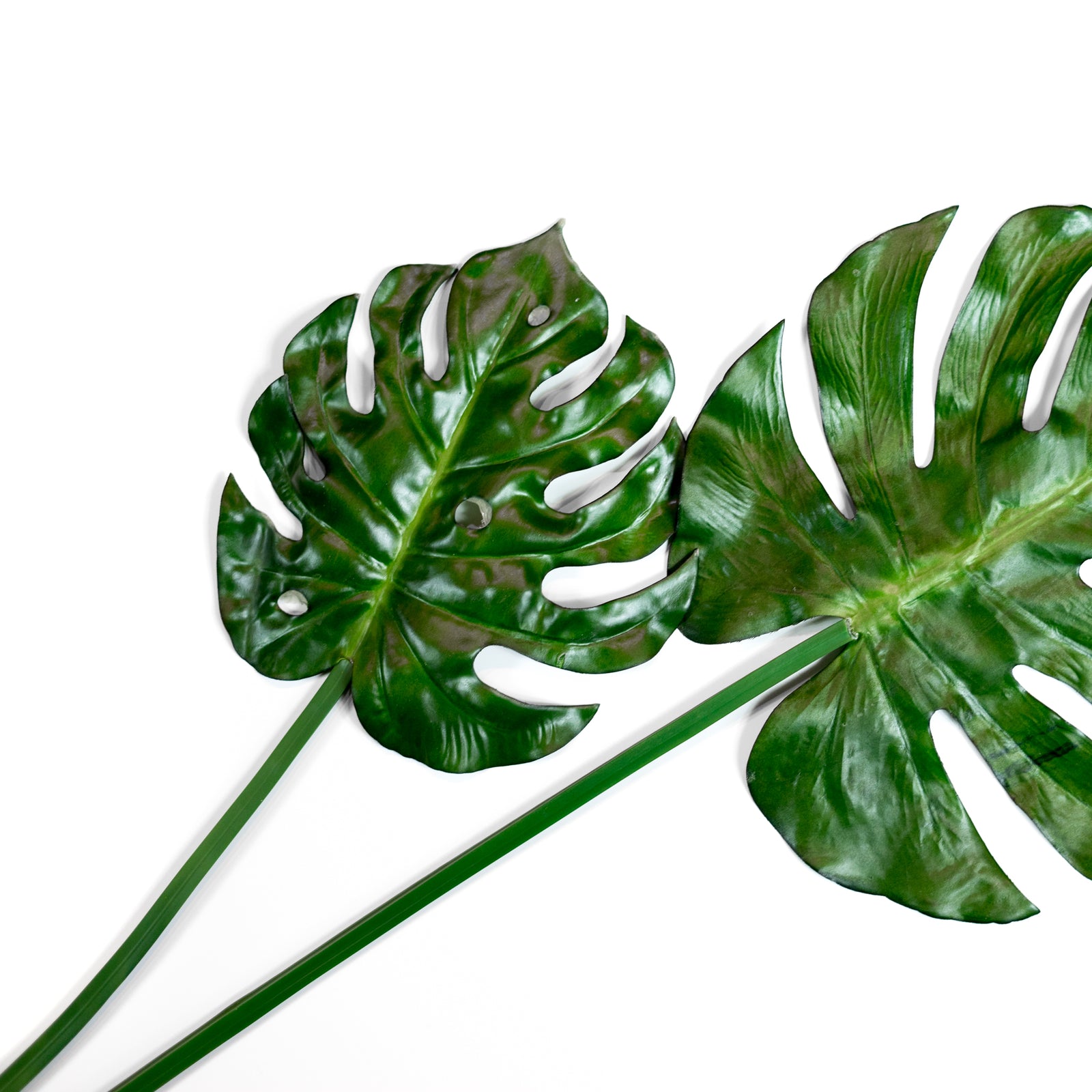 Artificial Monstera Leaf for a forever stunning fresh look