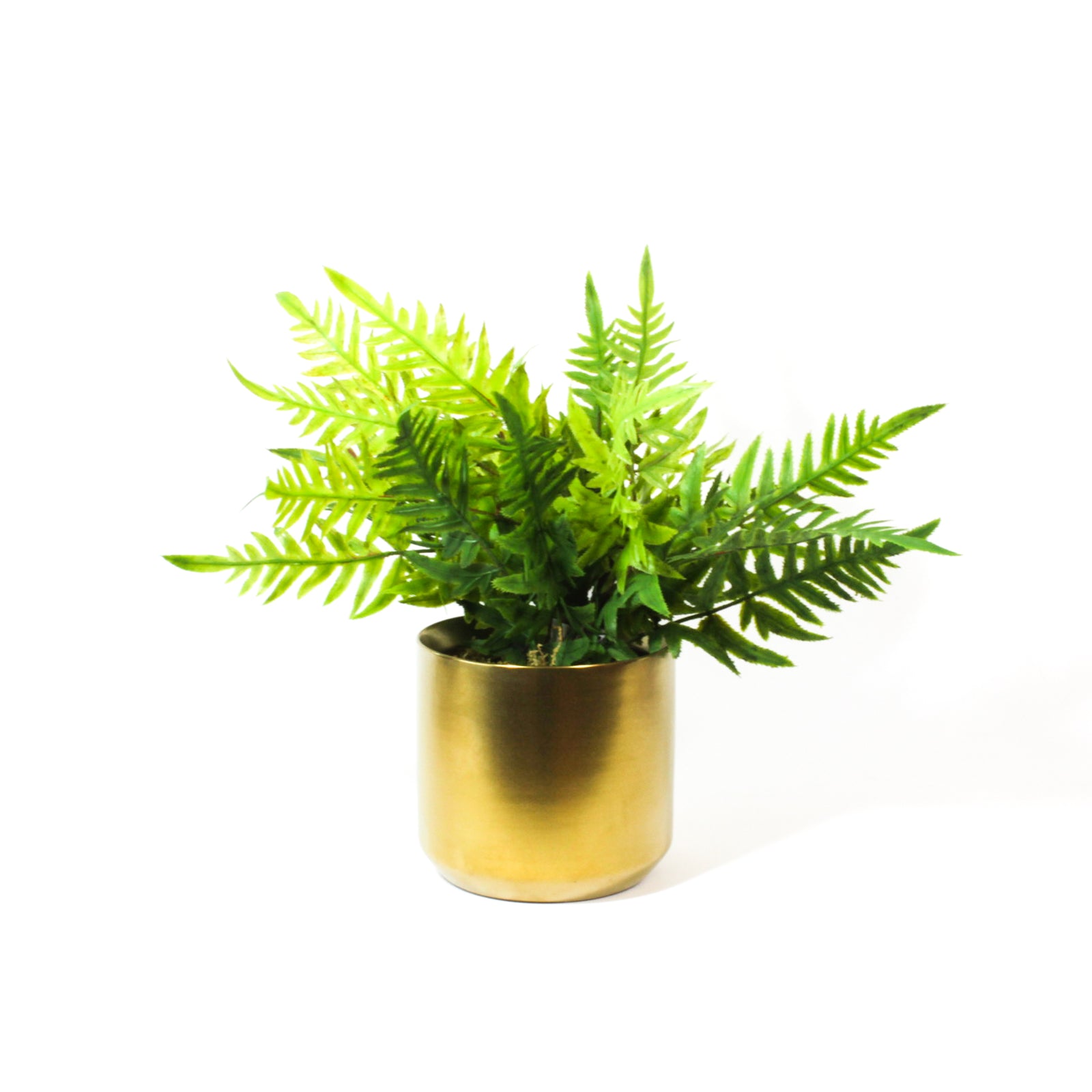 Potted Artificial Ferns, artificial plants