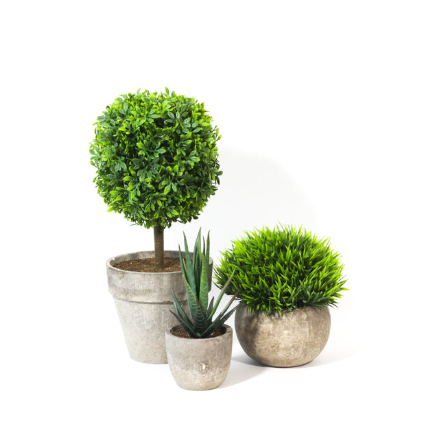 Potted Artificial Boxwood Topiary, faux plants