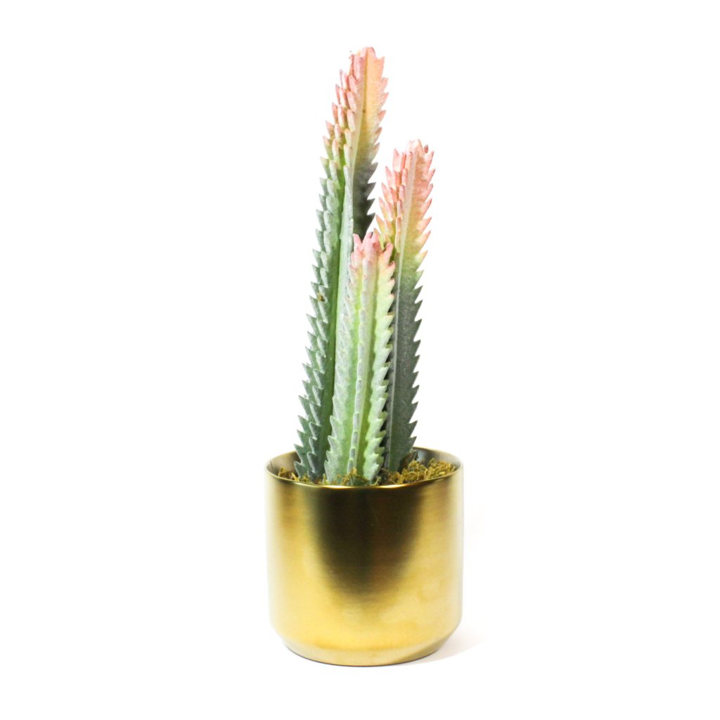 Potted Artificial Cactus, faux plants