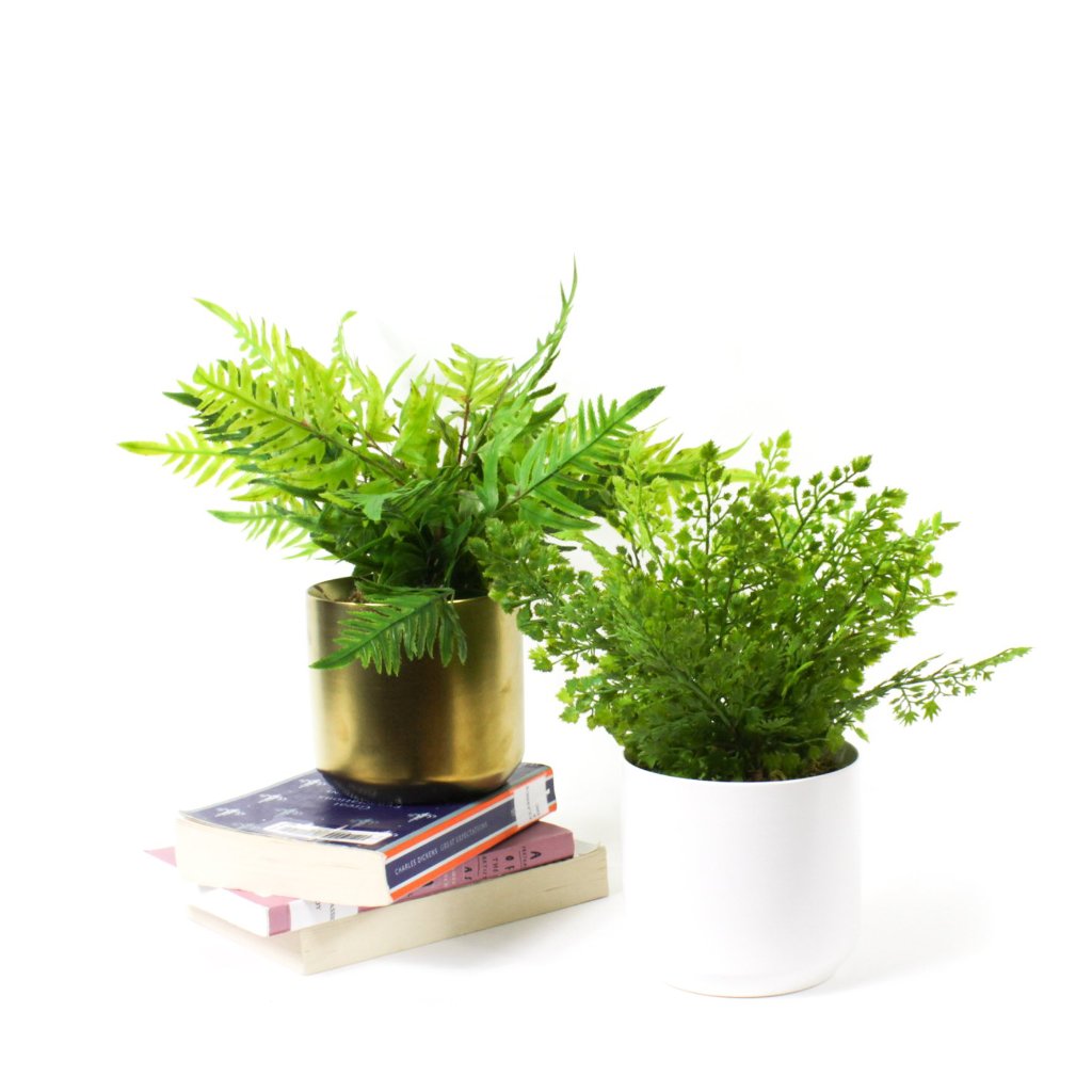 Potted Artificial Ferns, artificial plants