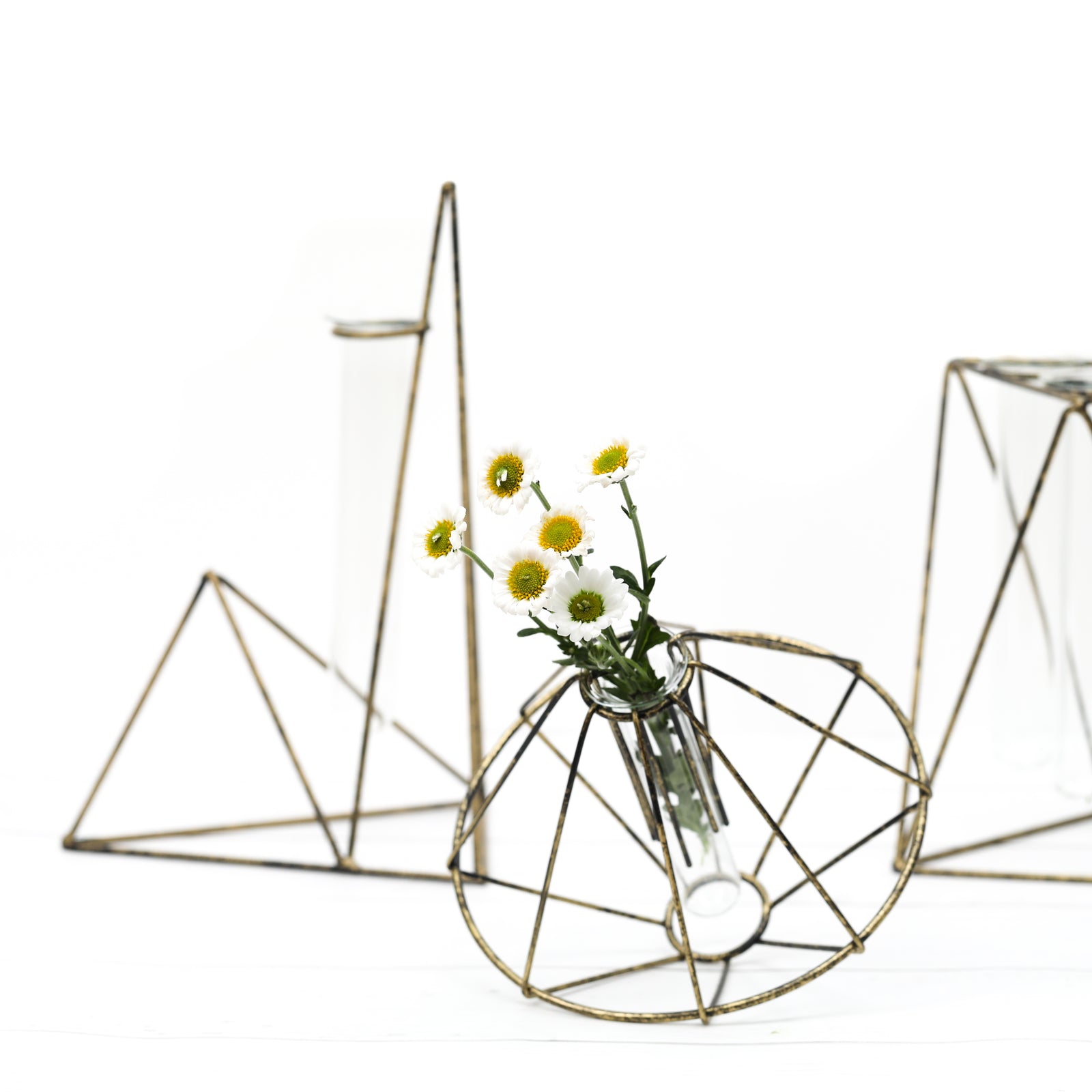 Rustique Wire Stand Vase