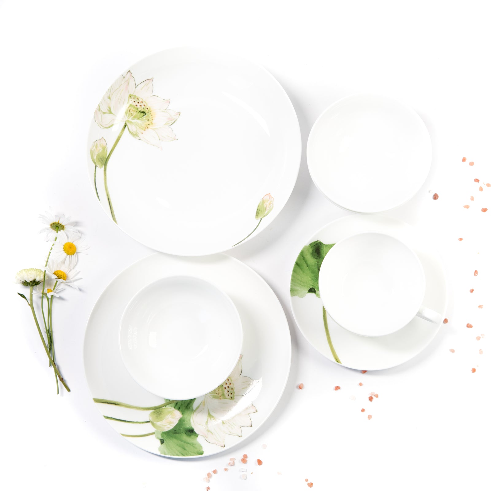 Lotus Gourmet Porcelain Collection