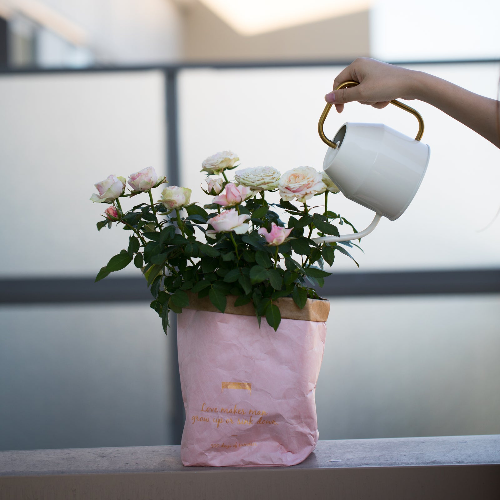 Water Resistant Tyvek paper bag