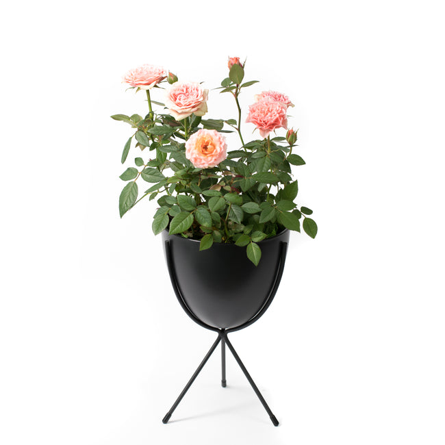 Noir Oval Stand Planter