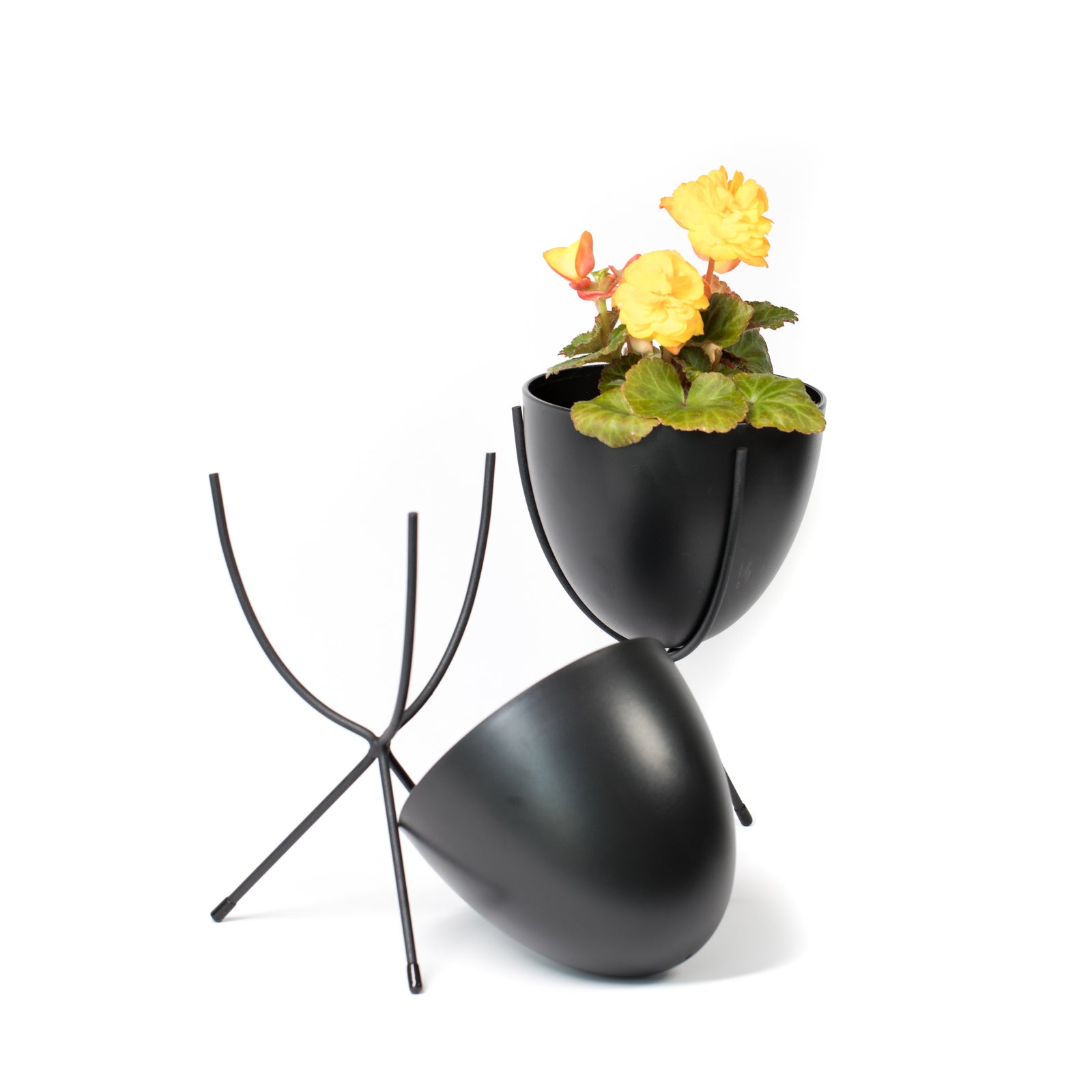 Noir Oval Stand Planter