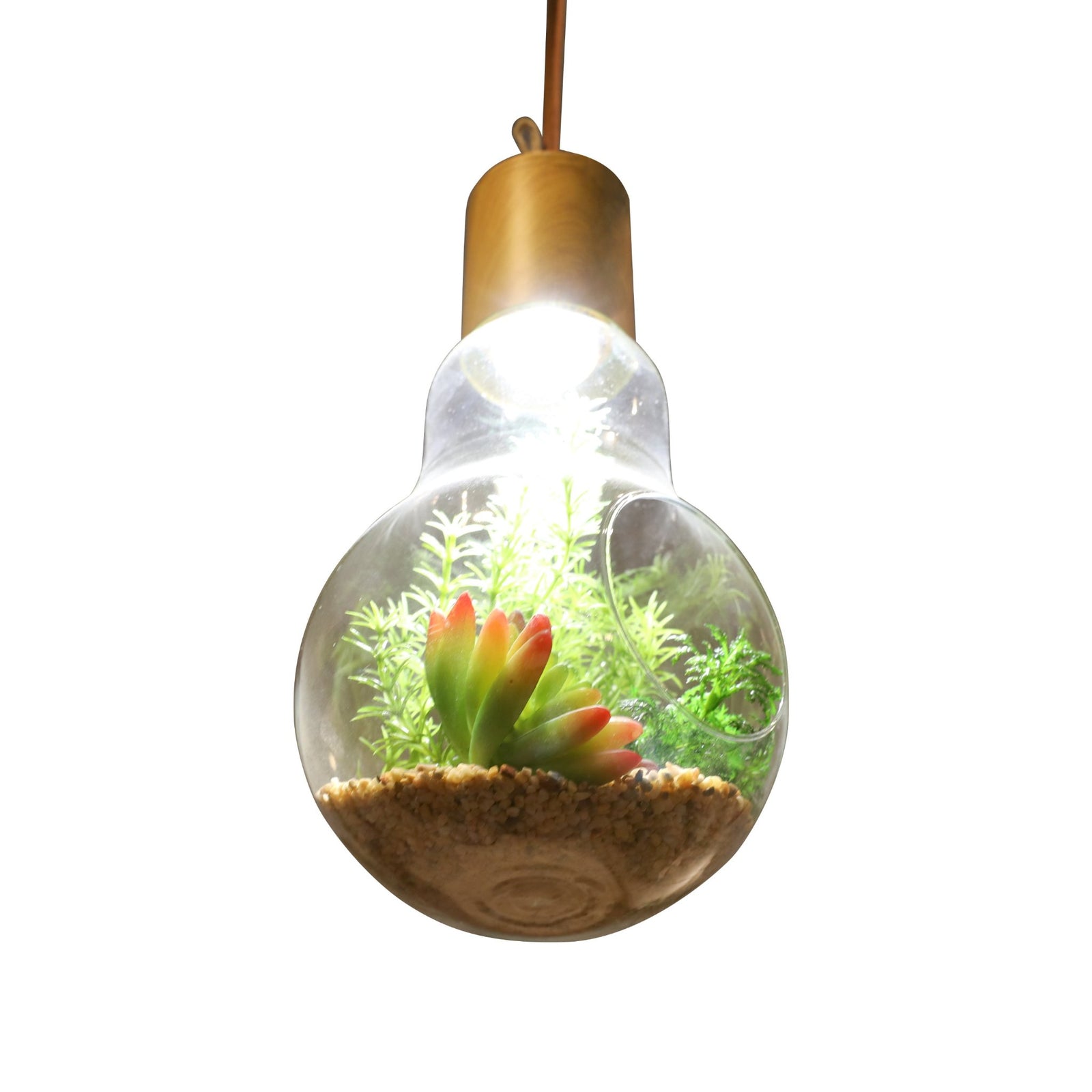Terrarium Lightbulb Pendant