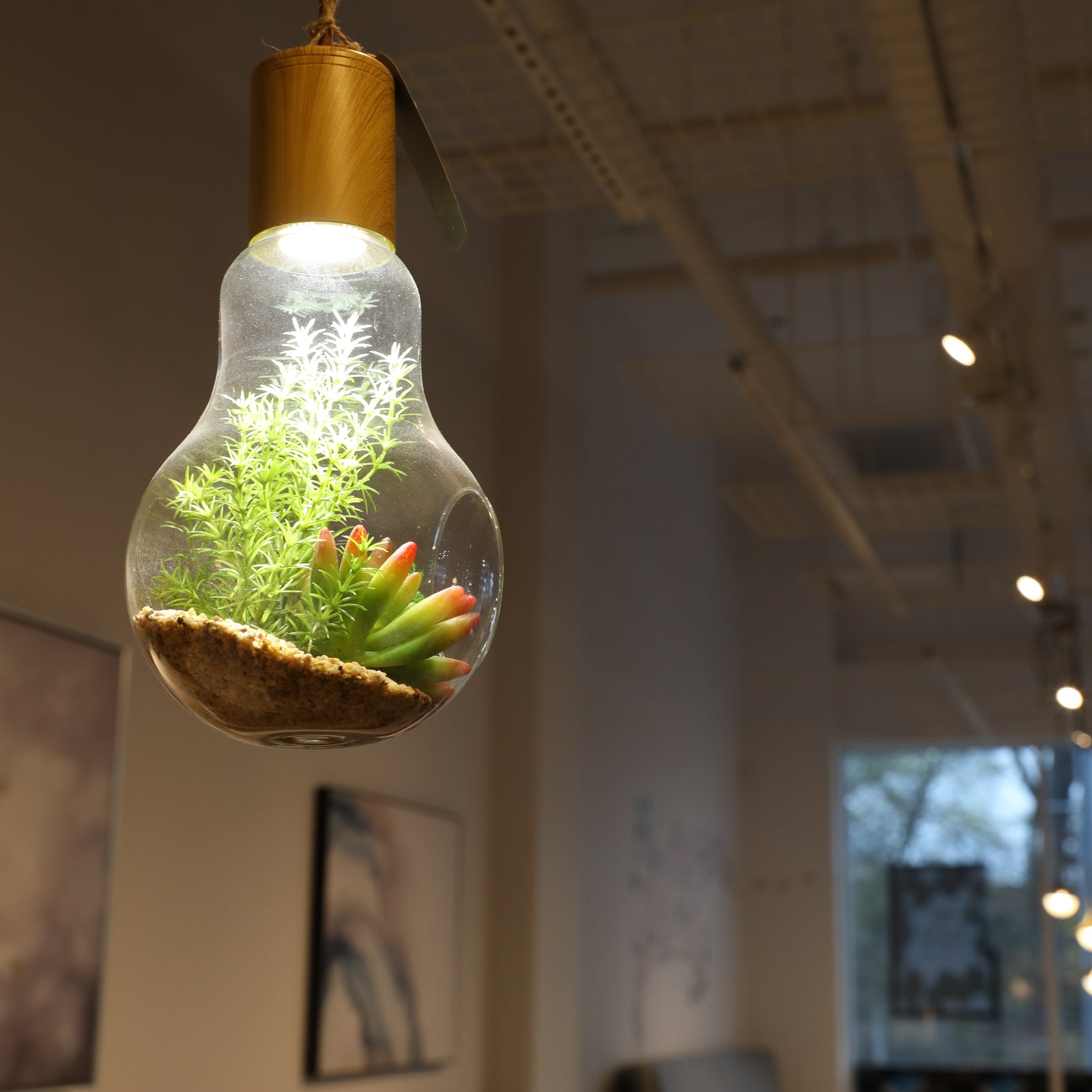 Terrarium Lightbulb Pendant