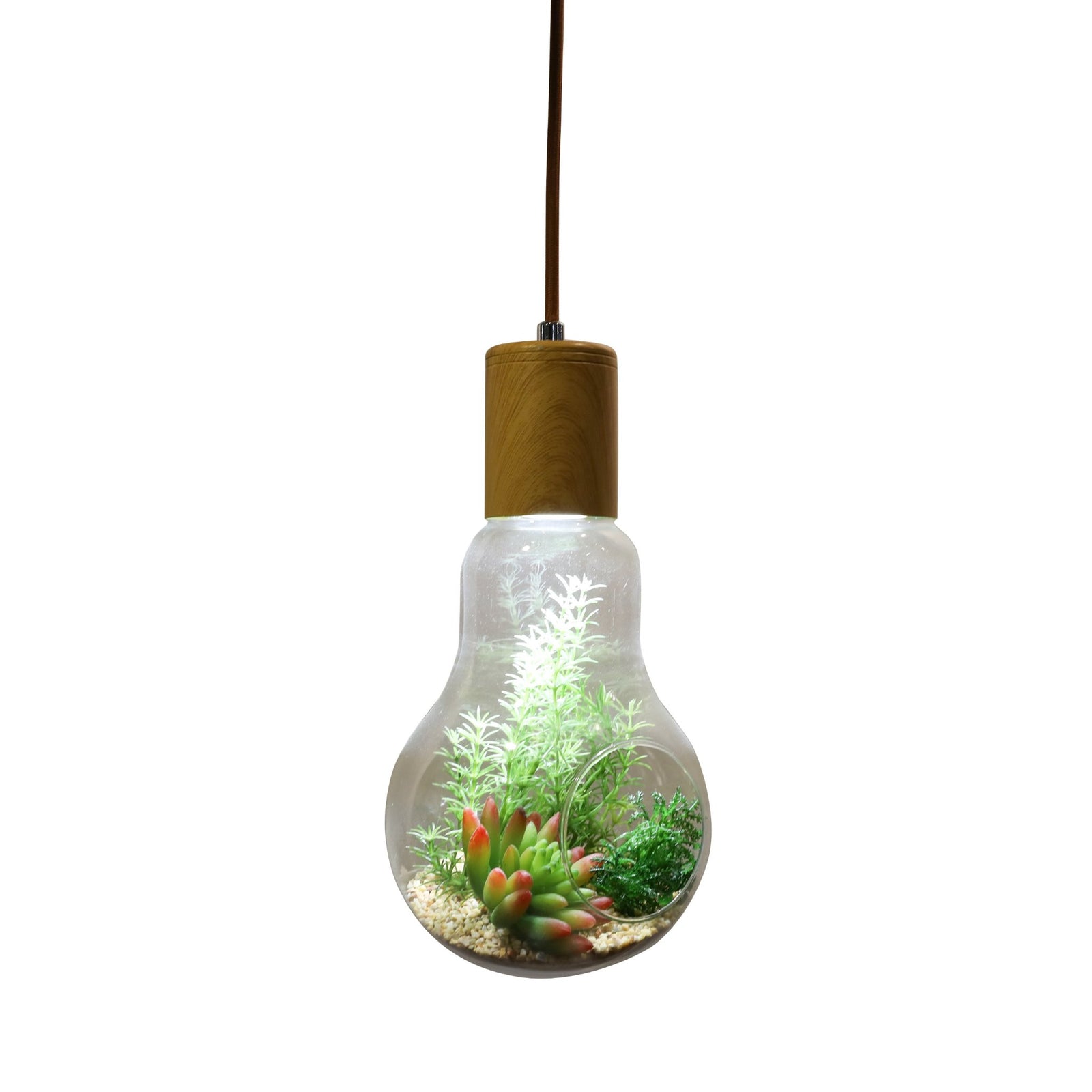 Terrarium Lightbulb Pendant